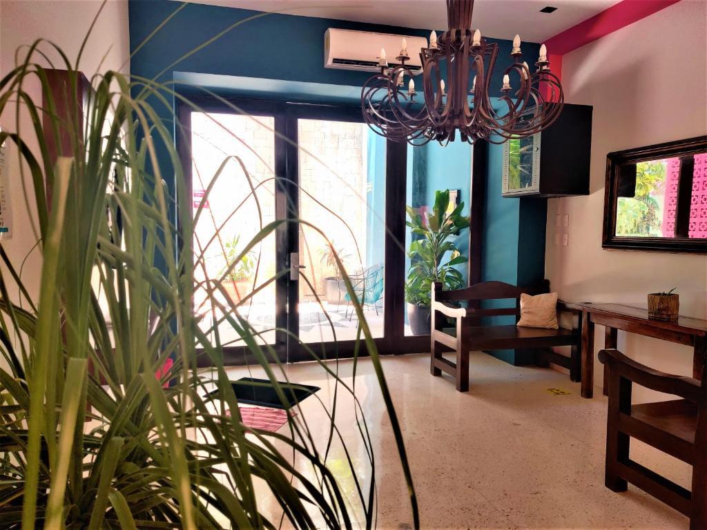 Hotel Mariachi By Kavia 5Th Av Πλάγια Ντελ Κάρμεν Εξωτερικό φωτογραφία